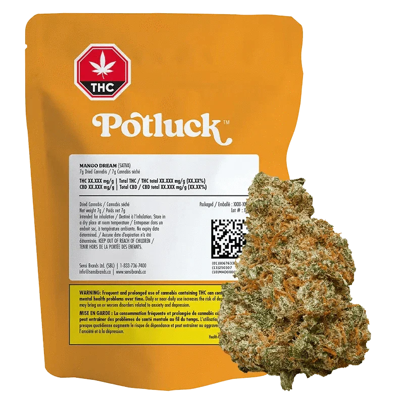Mango Dream By Potluck