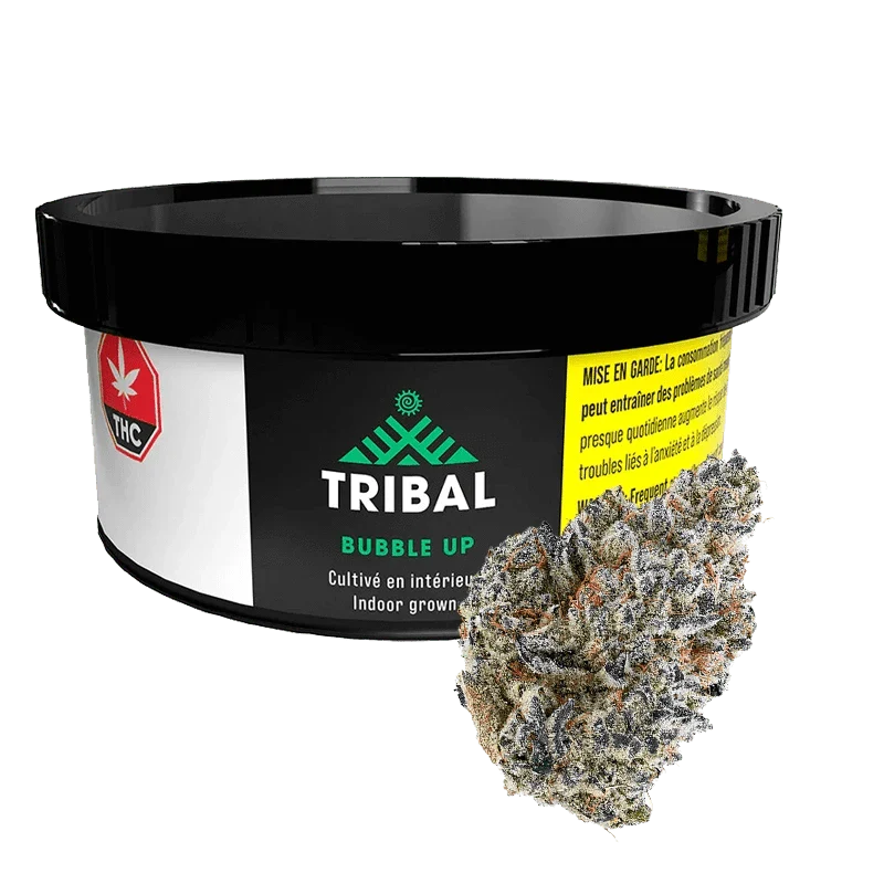Bubble Up By Tribal