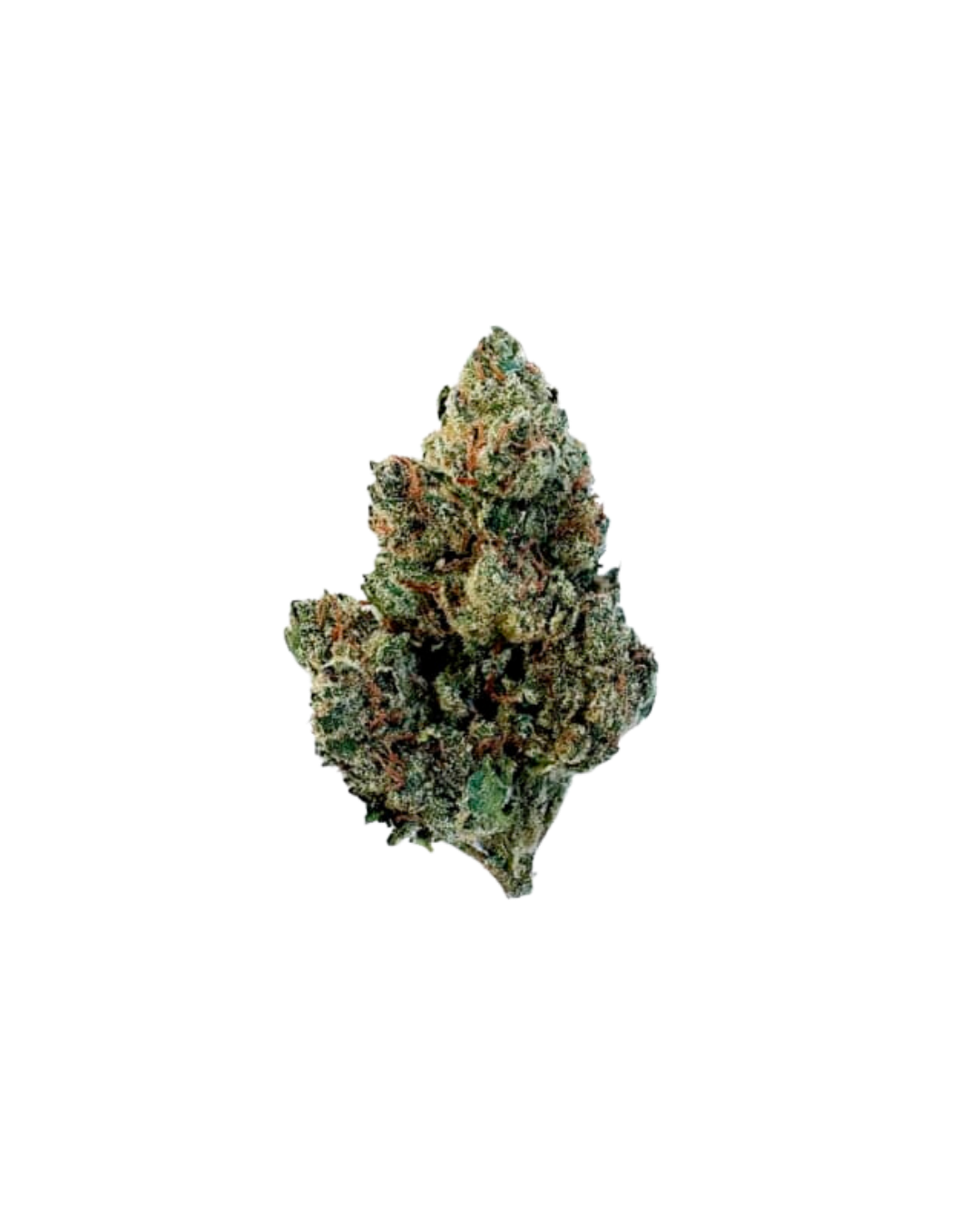 Champagne Kush By Freedom Cannabis