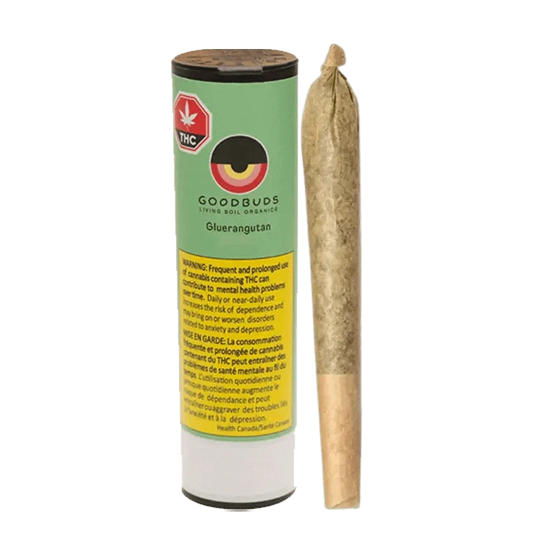 Gluerangutan By Good Buds