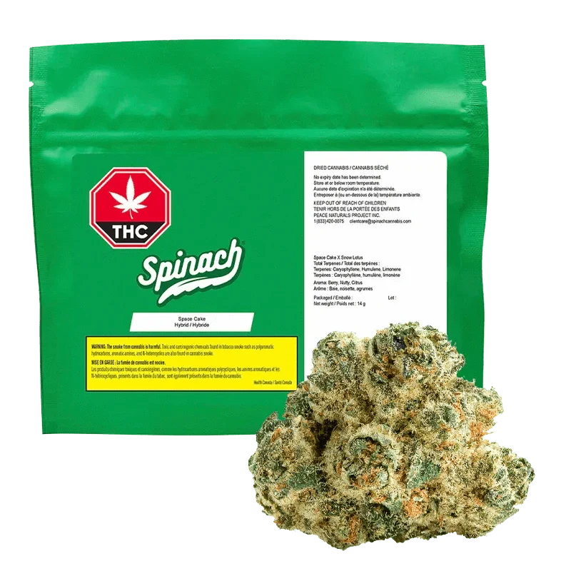 Space Cake By Spinach