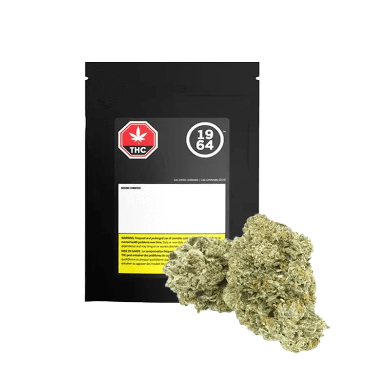 (ORGANIC)* Comatose By 1964