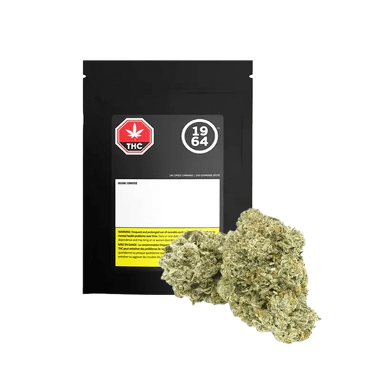 (ORGANIC)* Comatose By 1964