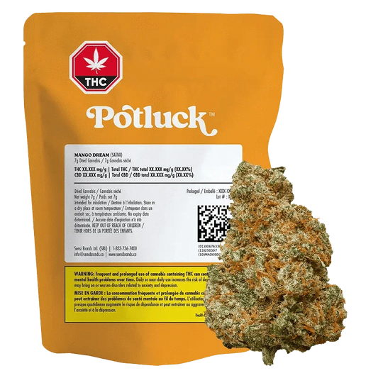 Mango Dream By Potluck