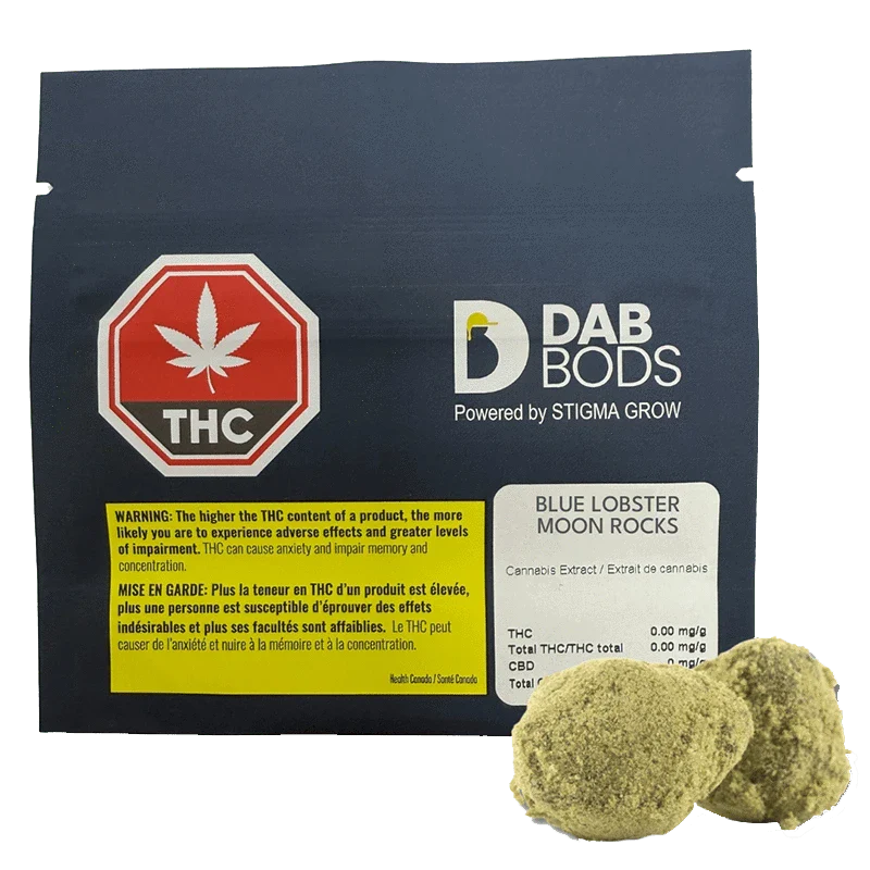 Blue Lobster Moon Rocks By Dab Bods (H)