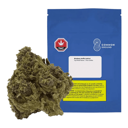 Blueberry Cupcake By Common Ground