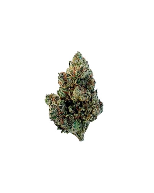 Champagne Kush By Freedom Cannabis