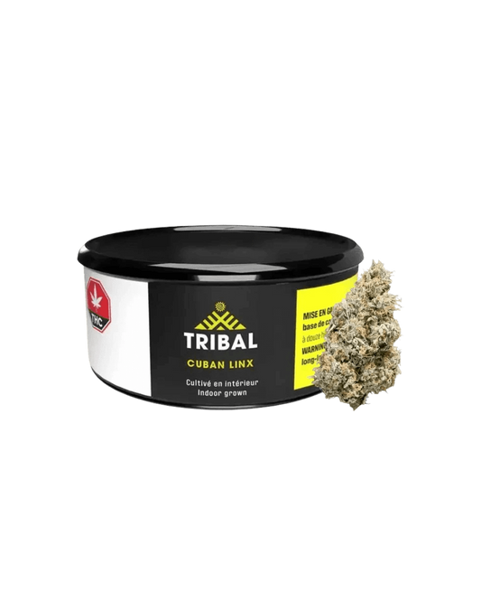 Cuban Linx By Tribal