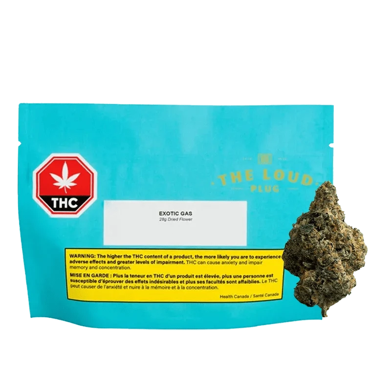 Exotic Gas By The Loud Plug