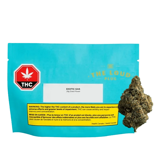 Exotic Gas By The Loud Plug