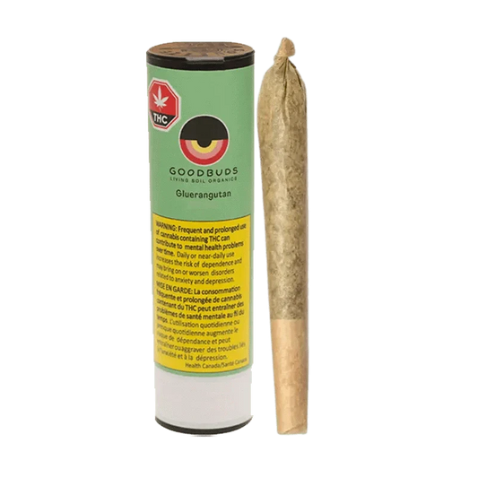 Gluerangutan By Good Buds
