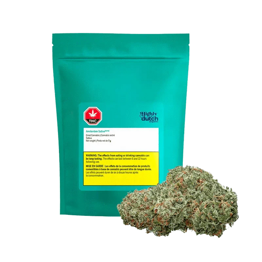 Amsterdam Sativa By Highly Dutch Organic