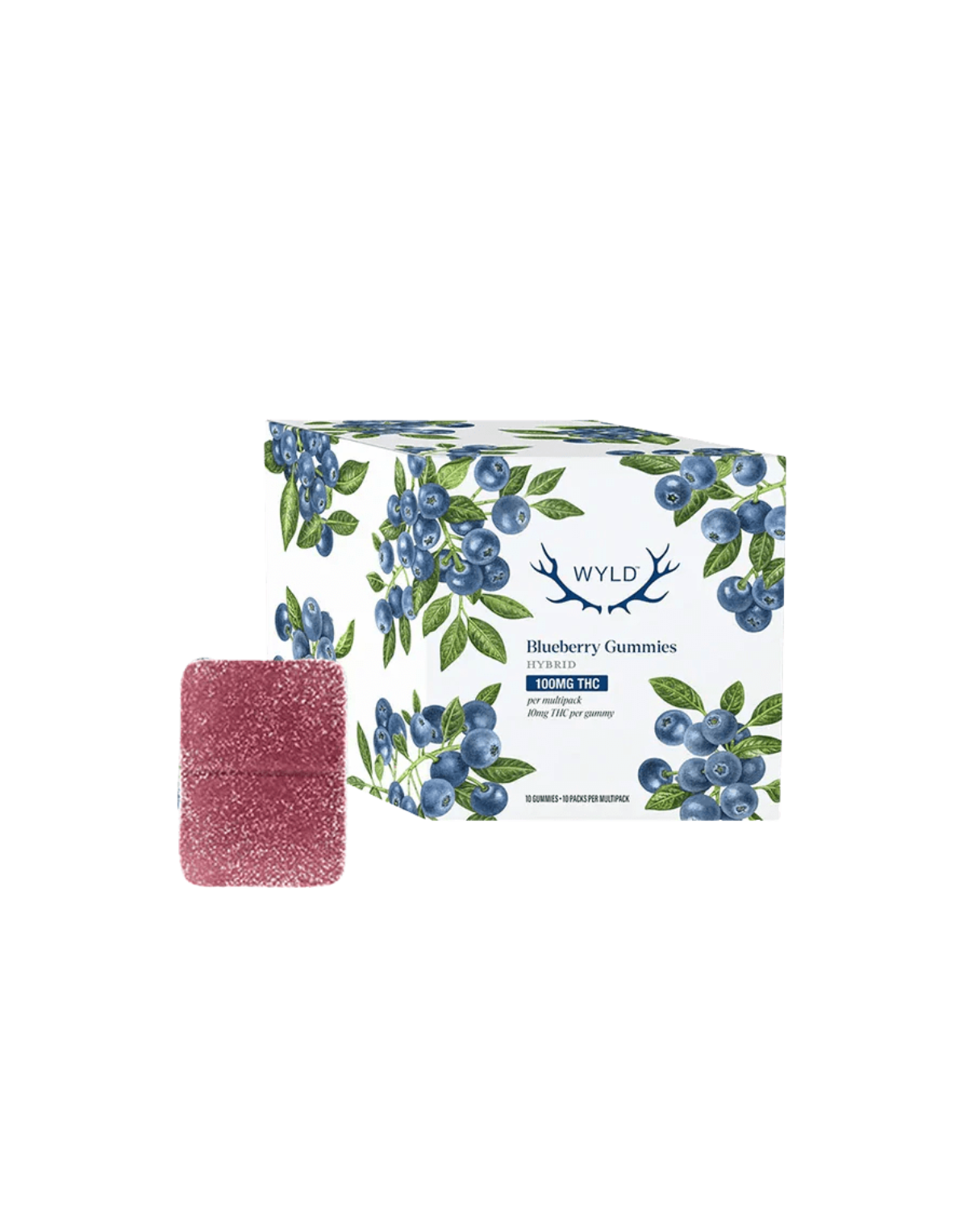 Real Fruit Blueberry By Wyld (H)