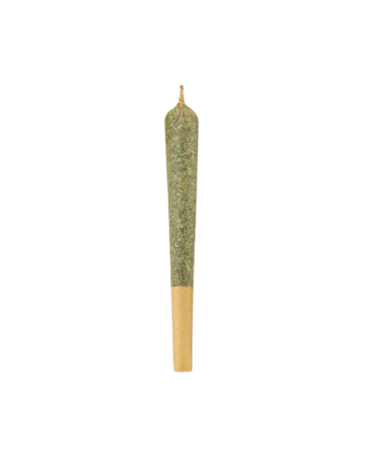 Ripped Sativa
