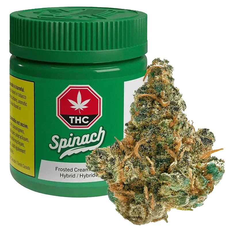 Frosted Cream Puffs By Spinach