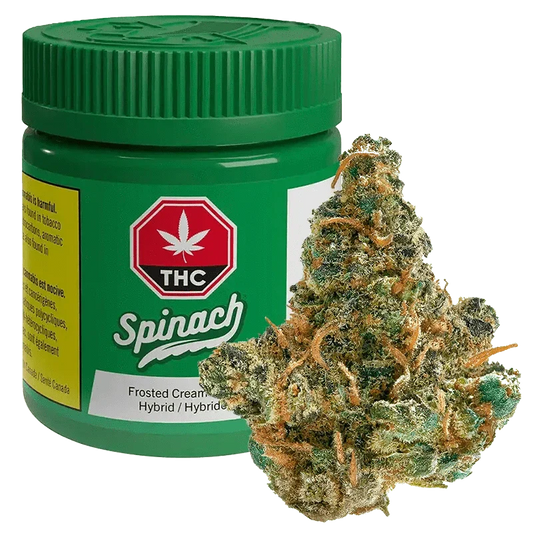 Frosted Cream Puffs By Spinach