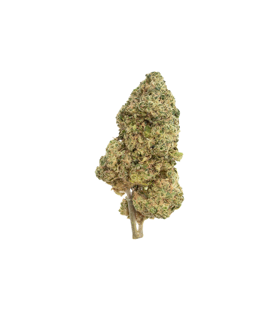 The Republic Black label 7g